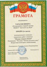 Призер муниципального конкурса творческих работ"Птицы глазами детей" Тарасов Никита