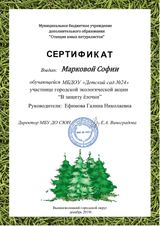 сертификат участника городской экологической акции "В защиту ёлочки"