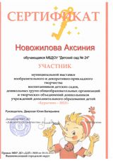 сертификат участника Новожилова Аксинья