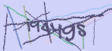 Проверочный код